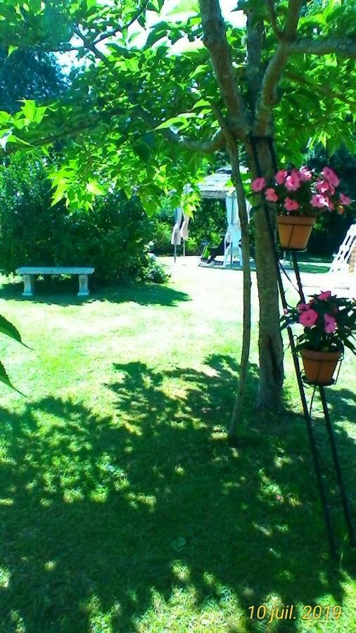 Le Clos Des Palombes Wifi Climatisation Saint-Pierre-du-Mont  Exteriör bild